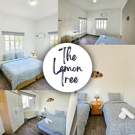 The Lemon Tree Hostel Lárnaka Eksteriør bilde